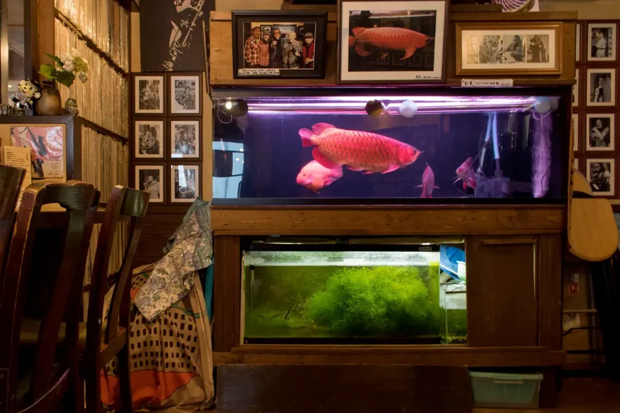 Tokyo Jazz Joints Interiors