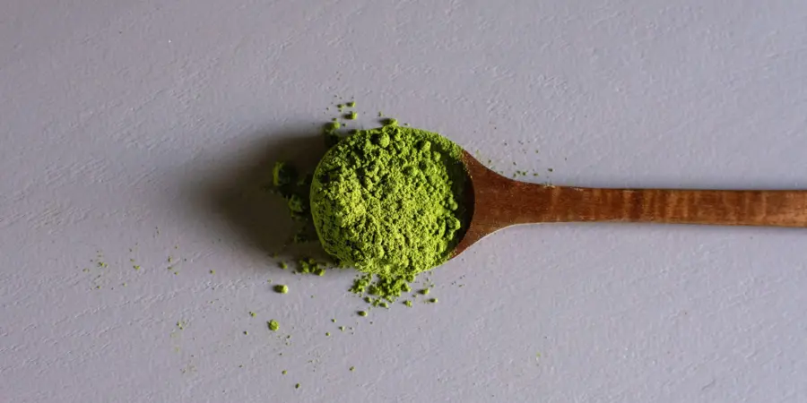 A spoonful of Matcha green tea powder