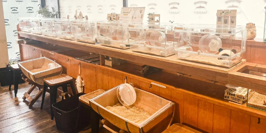 Hamsters at the mogu mogu animal cafe in Tokyo
