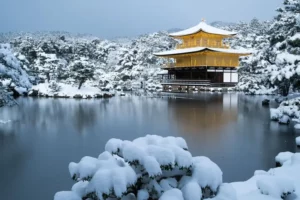 Snow-covered trees, bushes, and temple.