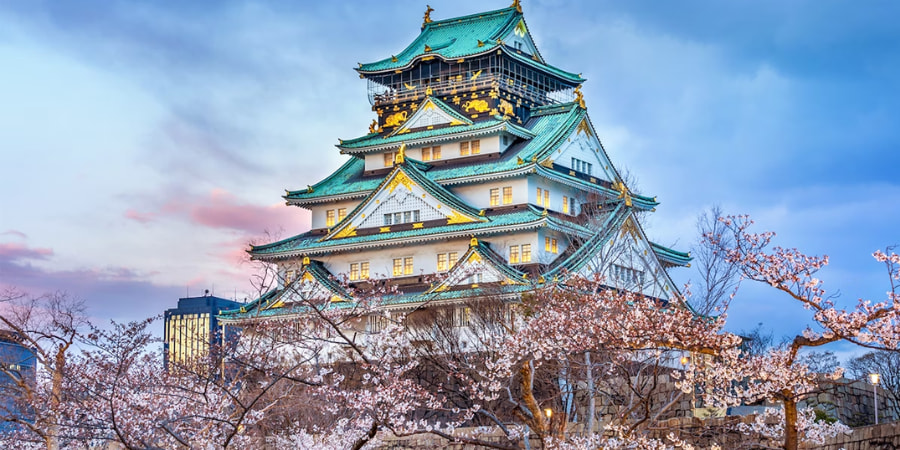 Osaka castle on a cloudy day surrounding by blooming cherry blossoms