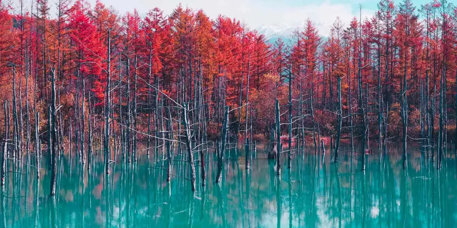 Biei Blue Pond