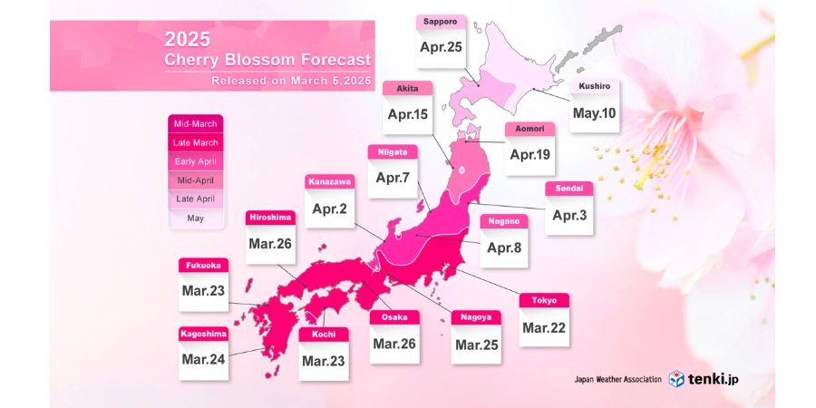 A pink weather forecast that indicates the dates of when cherry blossoms will bloom depending on the region.