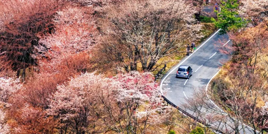 Car ride to Yoshino