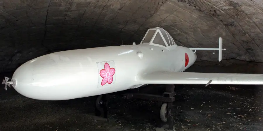 A Japanese military jet was a pink sakura insignia printed on its front