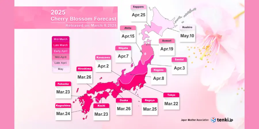A pink weather forecast that indicates the dates of when cherry blossoms will bloom depending on the region.