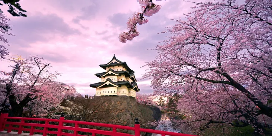 Hirosaki Castle, located in Aomori Prefecture, sits on a large rocky mountain surrounded by cherry blossoms.