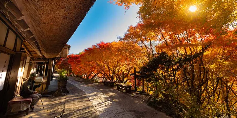 Ryokans in kumano kodo