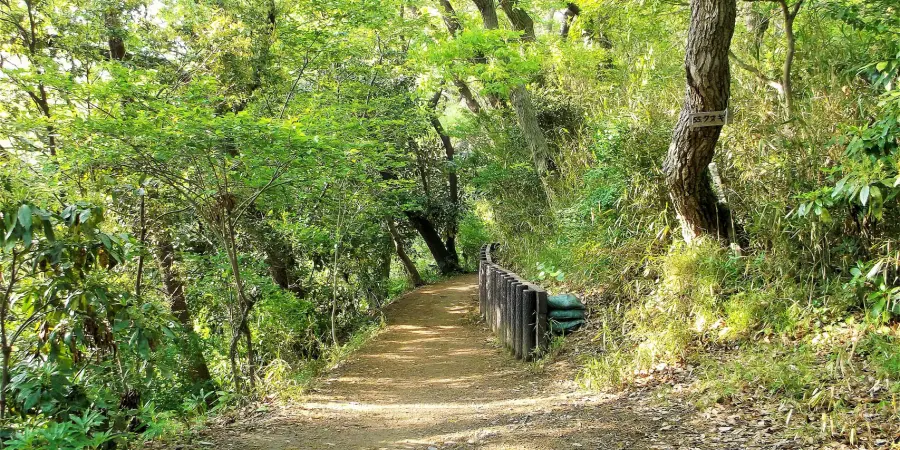 Bright Moon Valley Hiking Trail in Kamakura