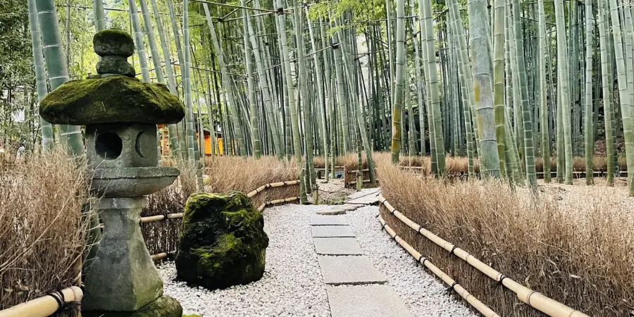 Hokokuji Temple & Bamboo Grove