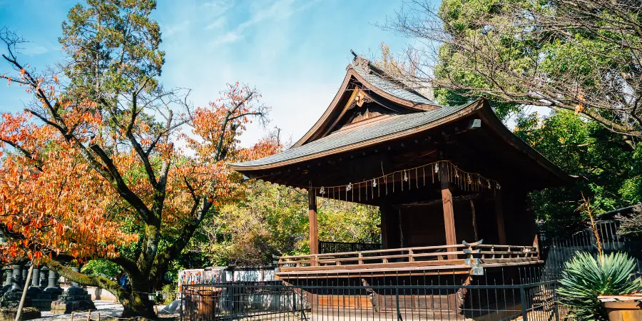 Kamakura in Fall