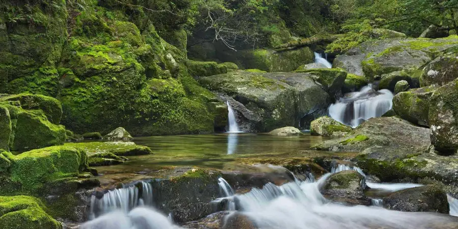 Small waterfalls on moss-covered rocks in Yakushima Island