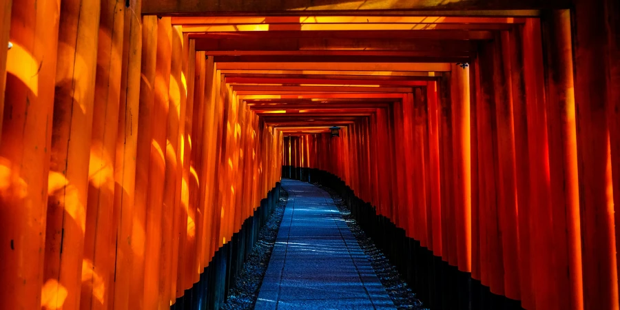 Blue and Orange Wooden Pathway in Fushimi Inari Taisha