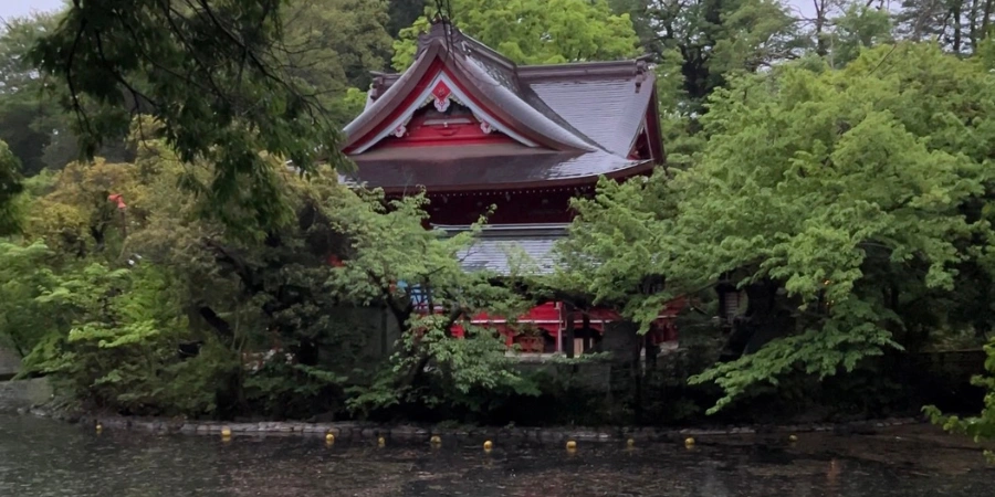 Inokashira Benzaiten temple surrounded with a pond