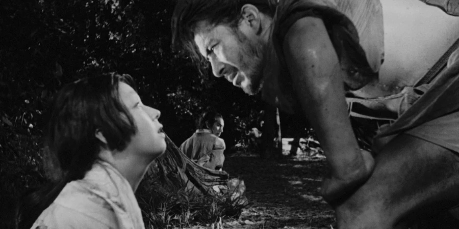Rashomon