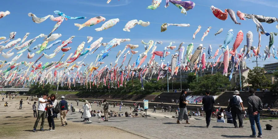 Colorful koinobori carp streamers flying above a riverside during Children's Day in Japan, symbolizing strength and prosperity with families enjoying the festival outdoors.