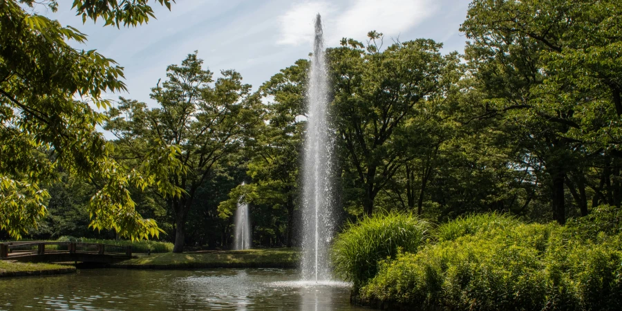 yoyogi park fountain