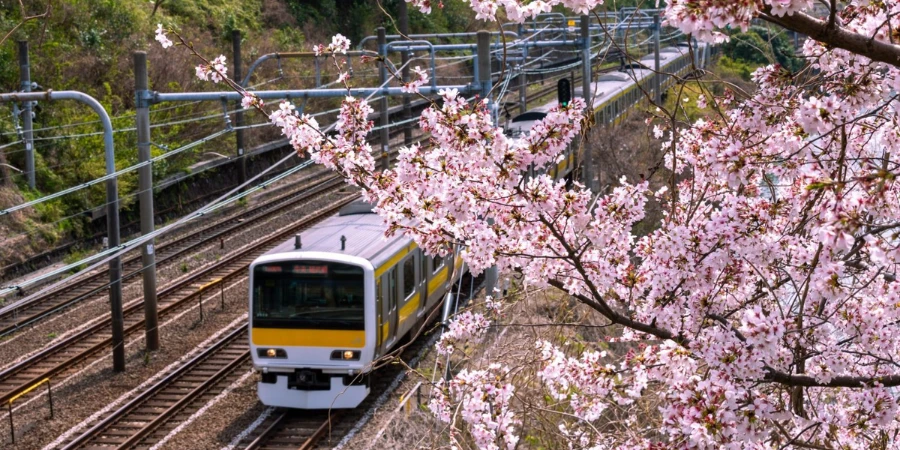 Japanese train