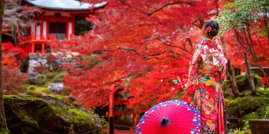 Woman in a colorful kimono with a traditional Japanese umbrella surrounded by red autumn maple leaves at Arashiyama