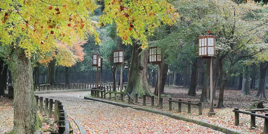 Autumn walking path through a wooded Japanese temple garden surrounded by colorful November foliage