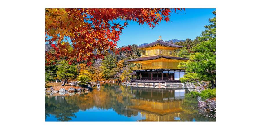 A vibrant photograph of the Golden Pavilion (Kinkaku-ji) in Kyoto, a three-story Zen Buddhist temple with its top two floors completely covered in gold leaf. The temple stands elegantly at the edge of a large, tranquil pond that perfectly reflects its architecture. In the foreground, vibrant orange and red maple leaves frame the top left corner, set against a clear blue sky and a background of lush, forested hills.