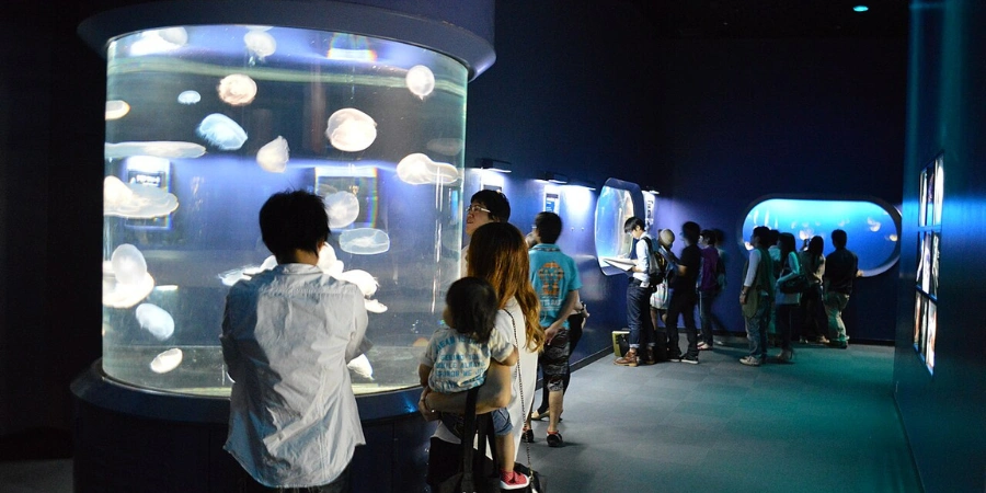 The illuminated jellyfish exhibit of Osaka Aquarium