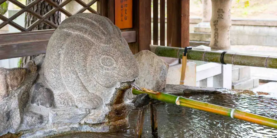 Stone rabbit-shaped temizuya (手水舎) fountain at Sumiyoshi Taisha, with water flowing from its mouth over a bamboo spout into a shallow basin.