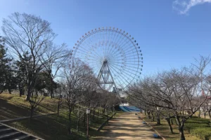 Tempozan Harbor's ferris wheel