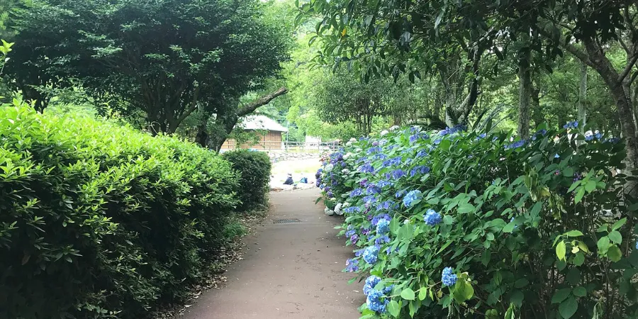 A walkway surrounded by flowers and greenery at the Nakanoshima Park