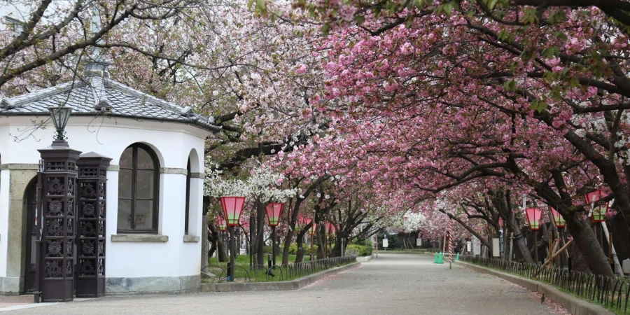 560-meter cherry blossom-lined path along the old Yodogawa River at Osaka Mint Bureau premises, leading to the Mint Museum—perfect history-themed extension 20 minutes from Osaka Museum of History.