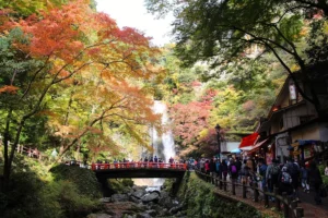 Minoo Falls in autumn with vibrant red and orange maple leaves, a red pedestrian bridge, and visitors walking along the scenic forest trail in Osaka, Japan