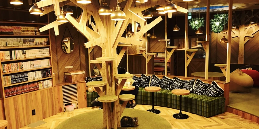 Interior of Cat Cafe Mocha in Shinsaibashi Osaka featuring wooden cat trees, manga shelves, and lounge seating