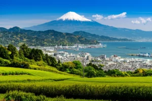 Panoramic Nihondaira view overlooking Shizuoka city, Suruga Bay, tea fields, and Mount Fuji