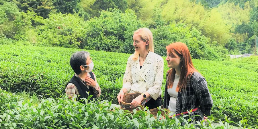 Visitors speaking with a local tea farmer at Yururi Tea Farm in Shizuoka, Japan surrounded by vibrant green tea fields