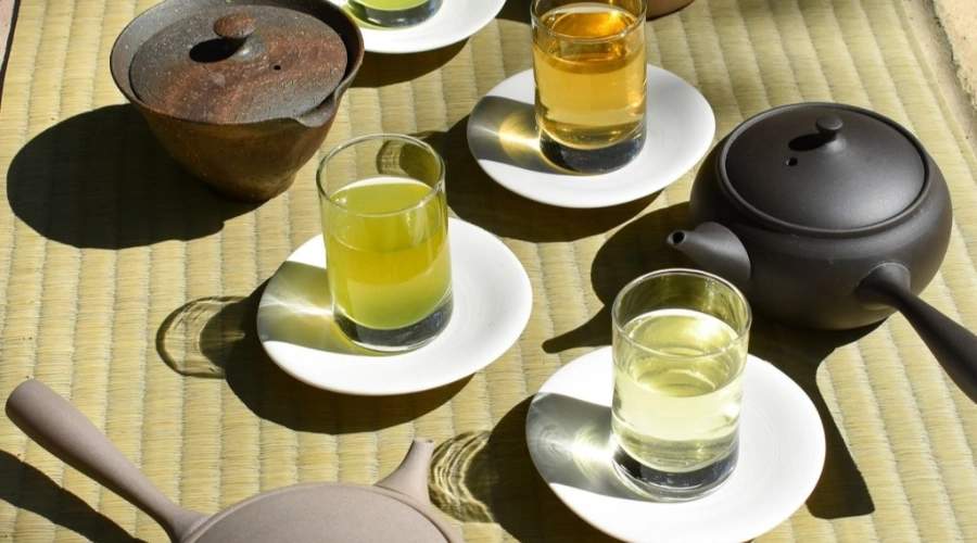 Japanese premium green tea tasting by Tencha featuring spring-harvest teas served in kyūsu teapots and tasting glasses, demonstrating traditional hot and cold brewing methods at Nishi Market.