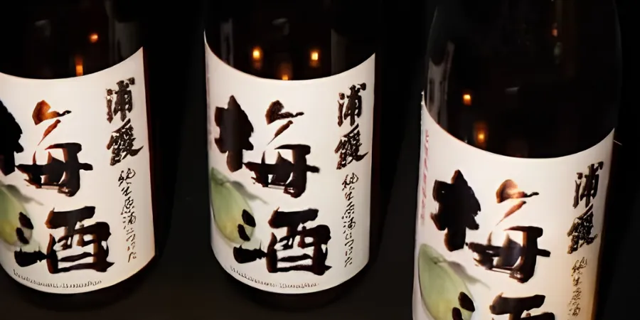 Three dark glass bottles of Urakasumi Japanese sake displayed side by side against a black background, each featuring a white label with bold Japanese calligraphy, red brushstroke accents, and pale green botanical artwork.