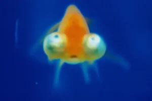 Mika Ninagawa's Captive Blooms artwork featuring an orange and white aquatic creature against a deep blue underwater background