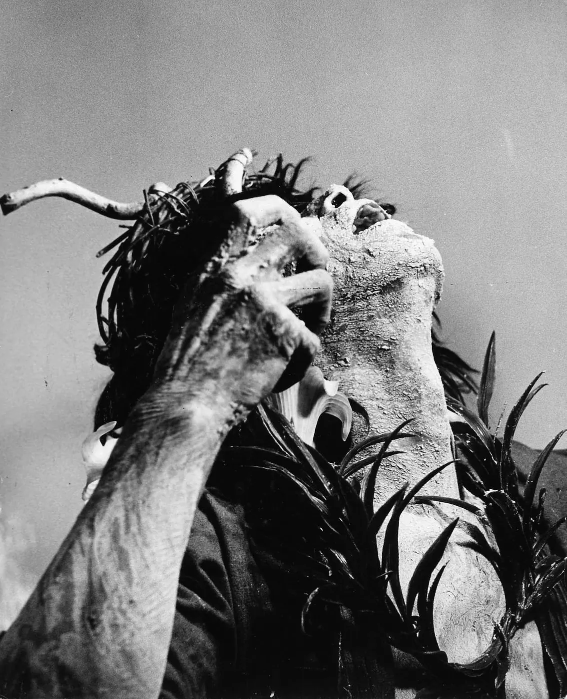 Kazuo Ohno, face and arm caked in white, throws his head back under a crown of twigs and spiky leaves against a pale sky