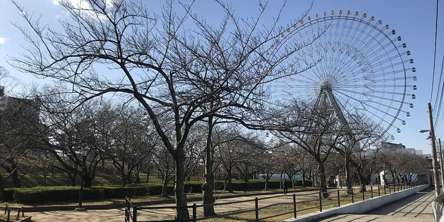 Tempozan Ferris Wheel rising above a tree-lined park in Osaka, Japan, with leafless trees and a pedestrian walkway in the foreground.