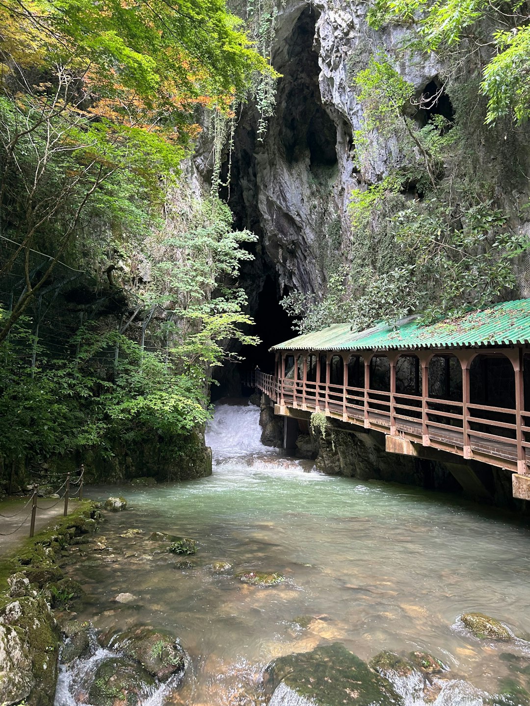The main entrance to Akiyoshido Cave, with a wooden walkway along a clear stream flowing out of the rock face