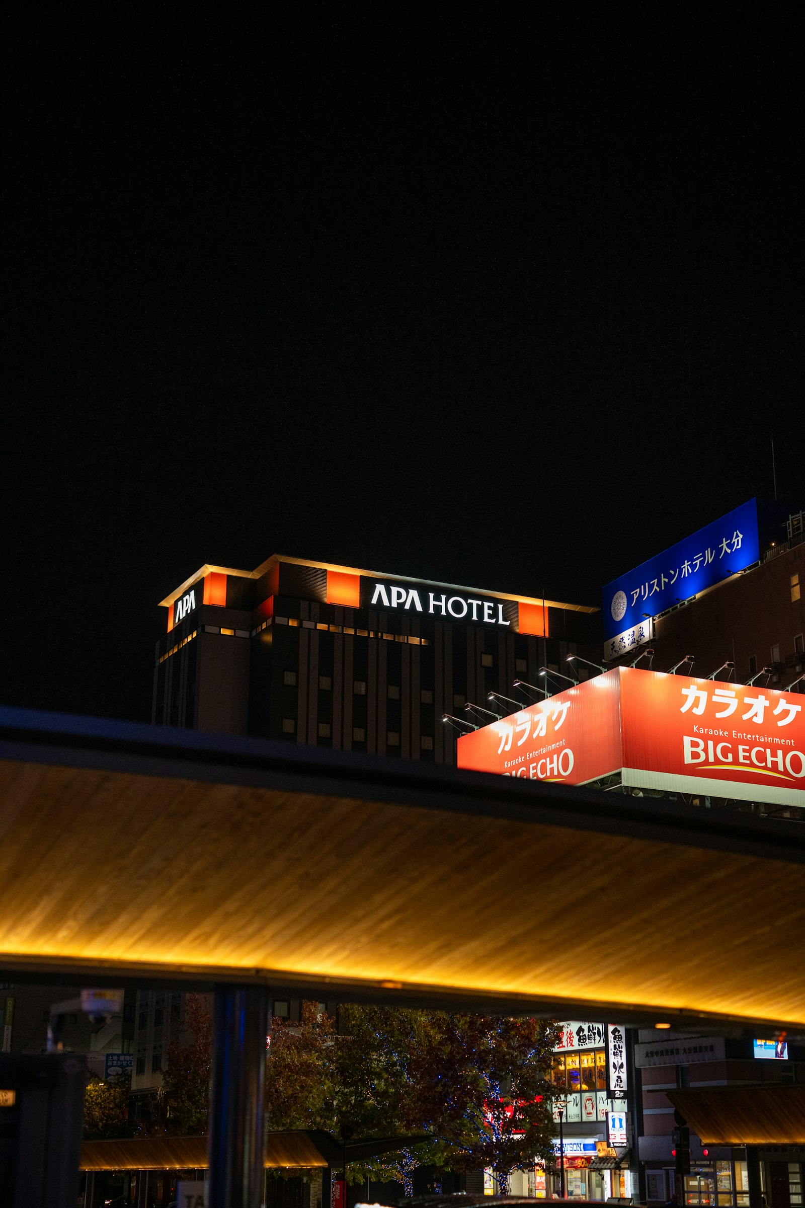 The red Big Echo karaoke sign lit up at night on a Tokyo building