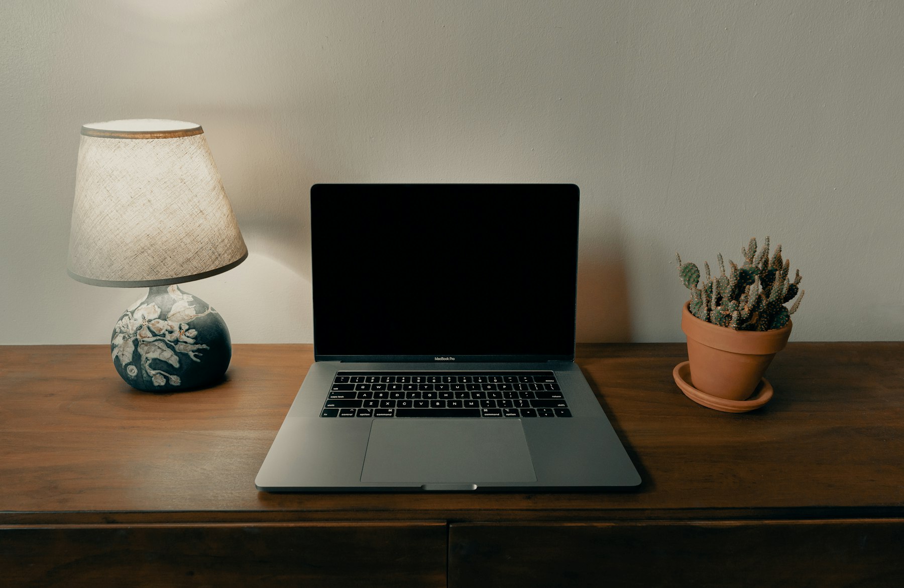 Laptop on a wooden desk beside a table lamp and a potted cactus in a home office