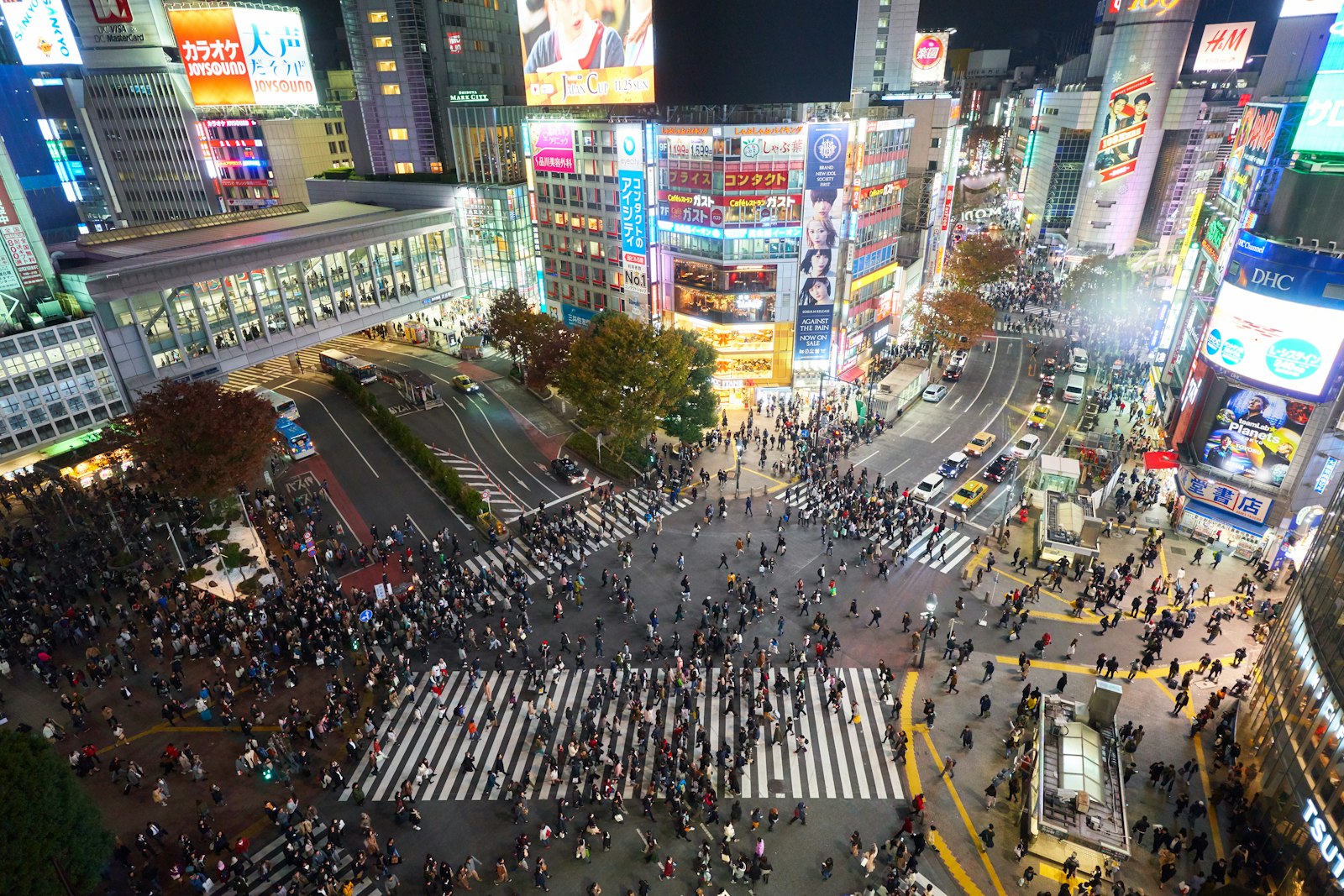 Crowds crossing Shibuya Scramble Crossing in every direction