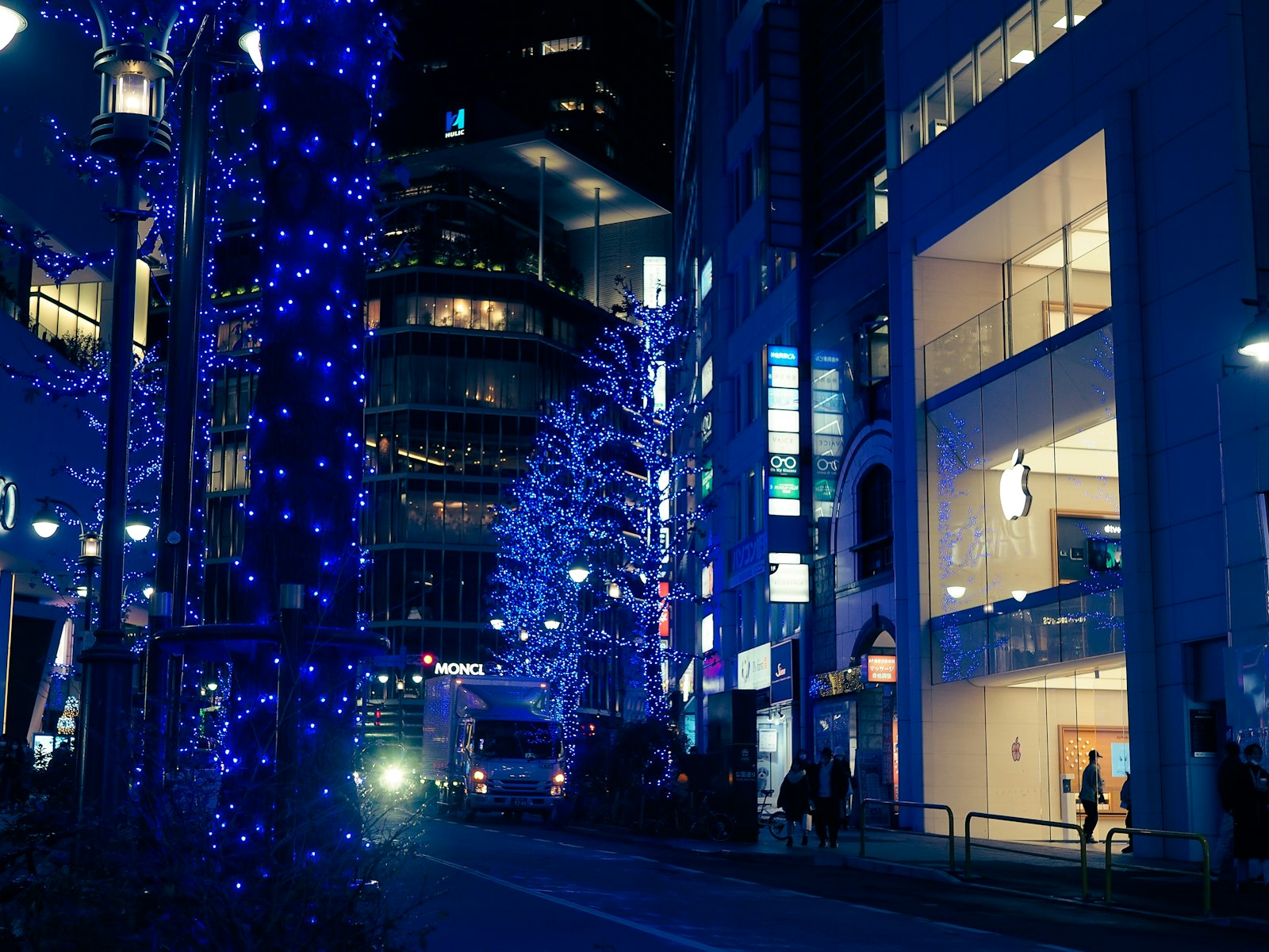 Street trees wrapped in blue illumination lights at night in Tokyo