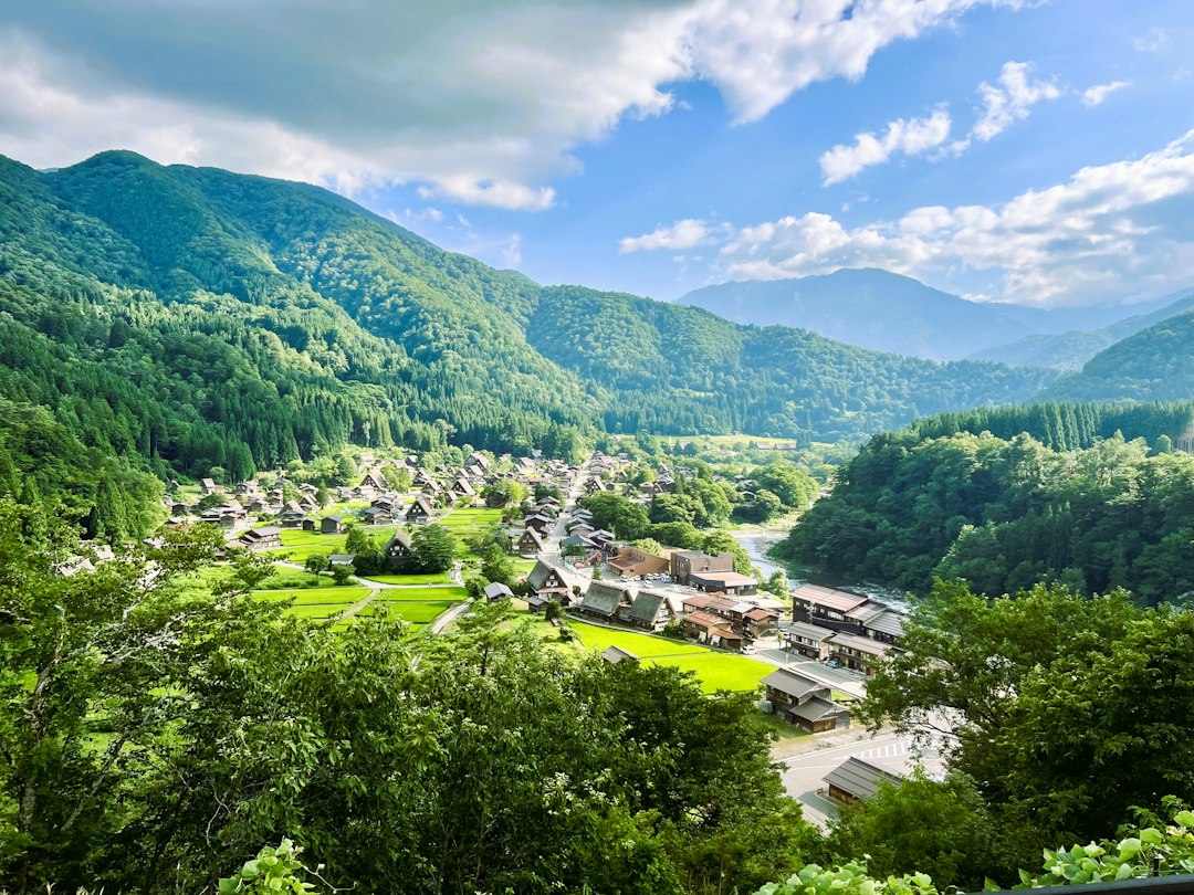 Shirakawa-go village and its thatched farmhouses in a green mountain valley, seen from a hillside viewpoint