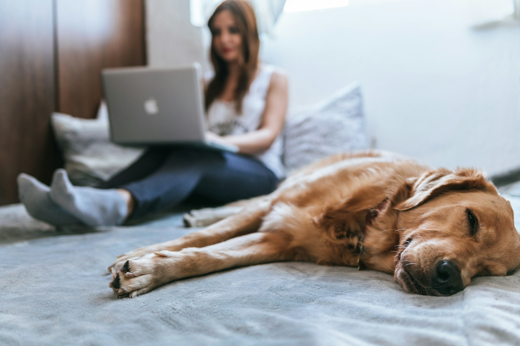 Woman working on a laptop at home while a golden retriever sleeps beside her