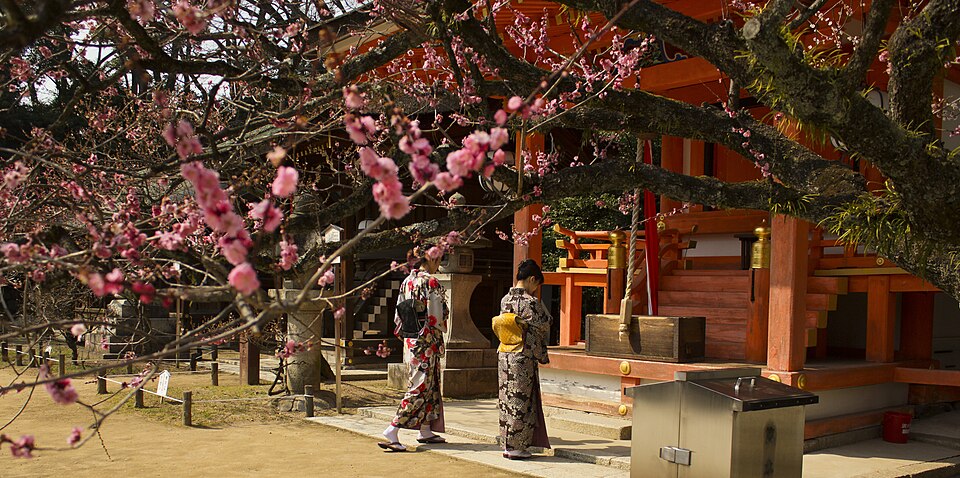 Pink plum blossoms framing a vermilion shrine building at Kitano Tenmangu in Kyoto, with visitors in kimono below