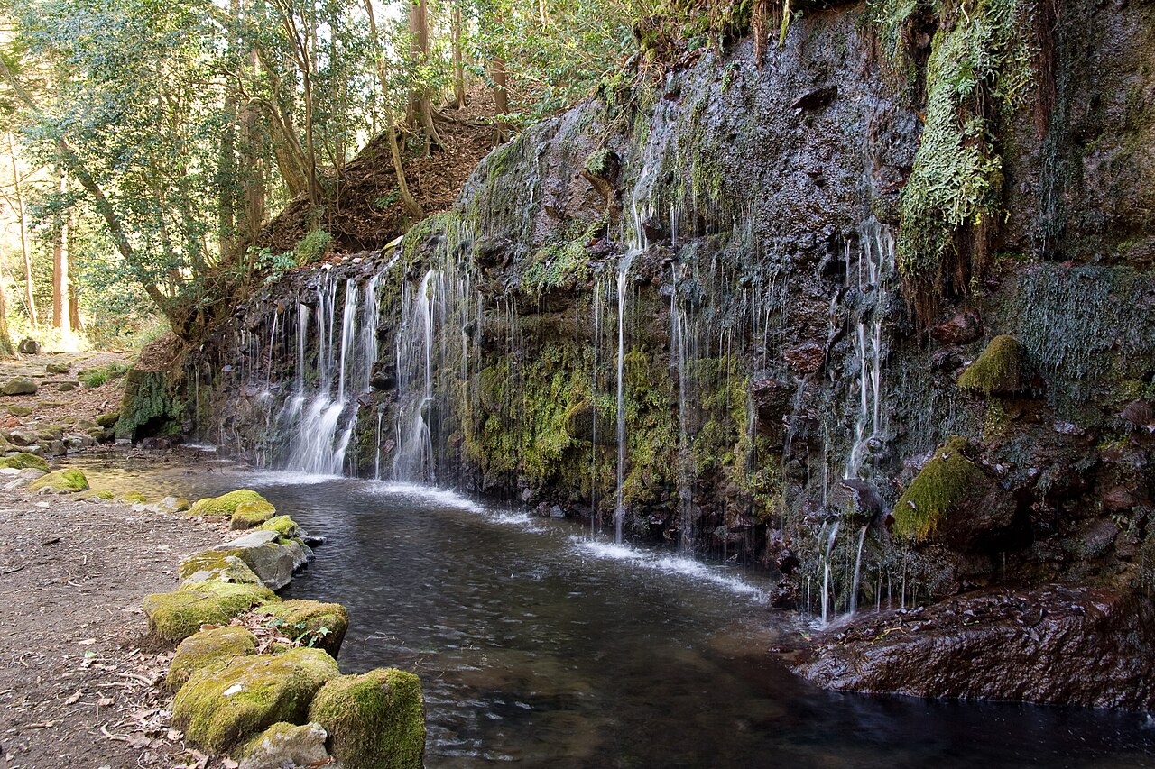 Thin streams of water falling over a mossy rock face into a pool at Chisuji Falls in Hakone
