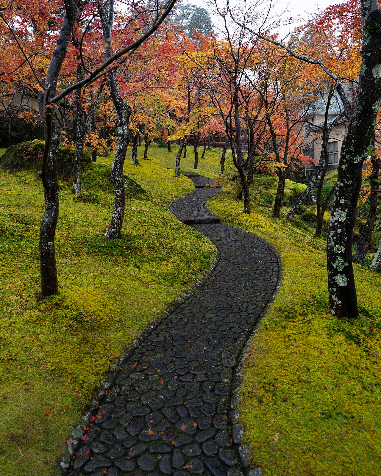 Stone path winding through the moss garden at the Hakone Museum of Art under autumn maples