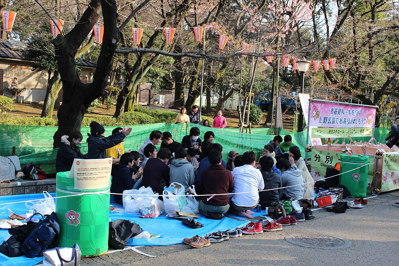A group sitting on blue picnic sheets for hanami under cherry trees and paper lanterns in Ueno Park, Tokyo